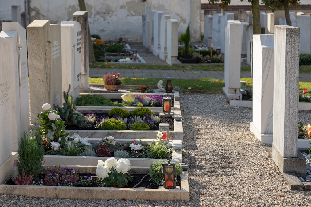 Photo all saints' day