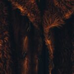 Photo fur vest